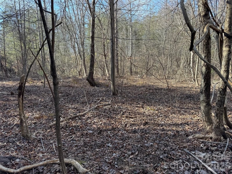 Burt Blackwell Rd, Mill Spring, NC 28756