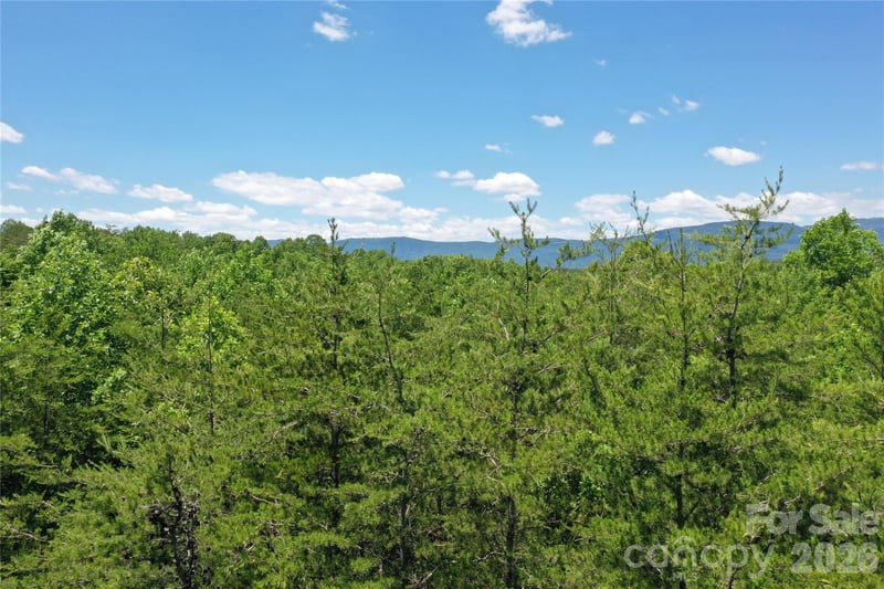 Burt Blackwell Rd, Mill Spring, NC 28756