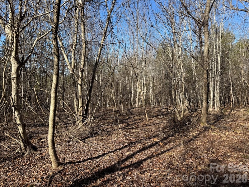 Burt Blackwell Rd, Mill Spring, NC 28756