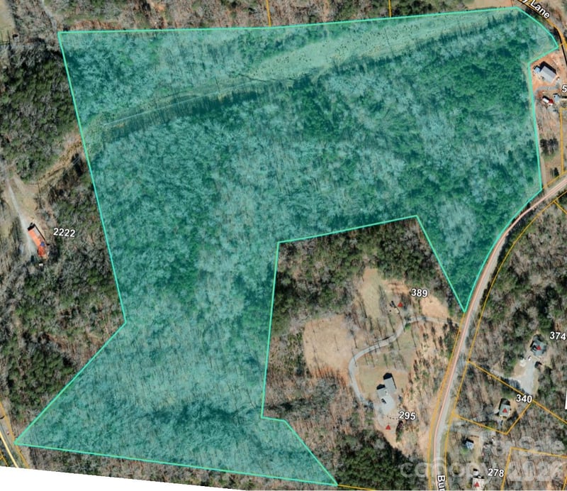Burt Blackwell Rd, Mill Spring, NC 28756