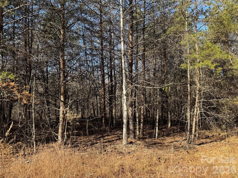 Burt Blackwell Rd, Mill Spring, NC 28756