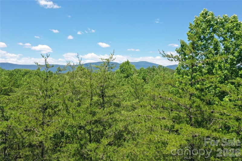 Burt Blackwell Rd, Mill Spring, NC 28756
