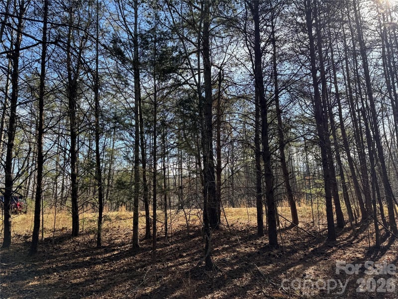 Burt Blackwell Rd, Mill Spring, NC 28756