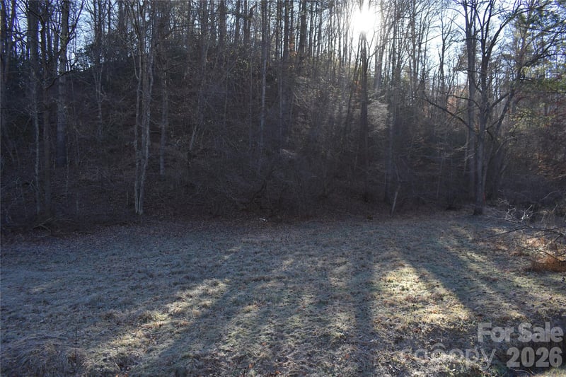 448 Sweetwater Rd, Green Mountain, NC 28740