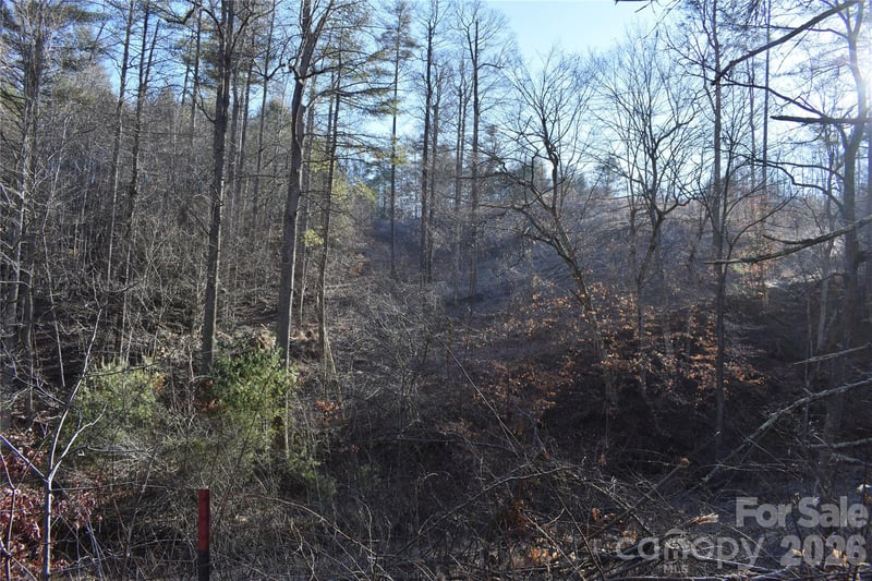 448 Sweetwater Rd, Green Mountain, NC 28740