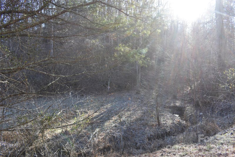 448 Sweetwater Rd, Green Mountain, NC 28740