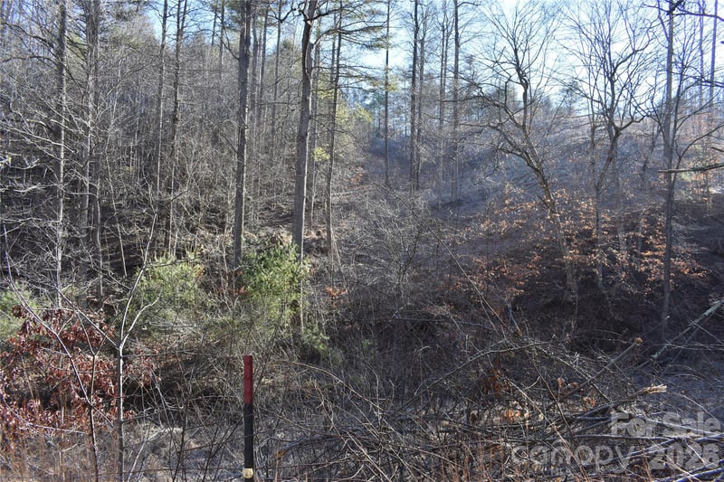 448 Sweetwater Rd, Green Mountain, NC 28740