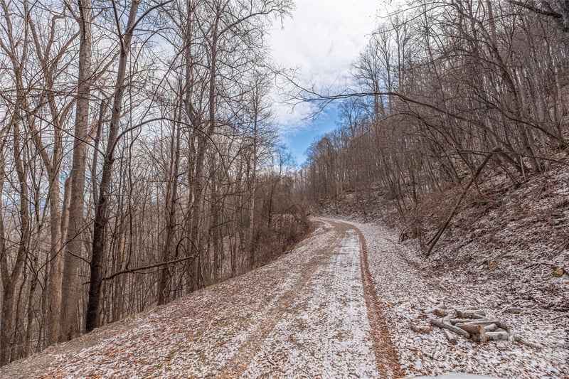 00 Curry Comb Trl #516, Waynesville, NC 28785