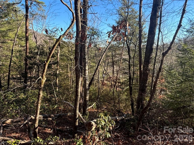 Lot 19 Nicklaus Ln, Lake Lure, NC 28746