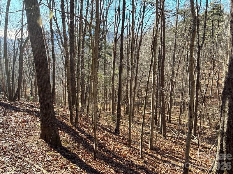 9999 Sealey Ln, Leicester, NC 28748