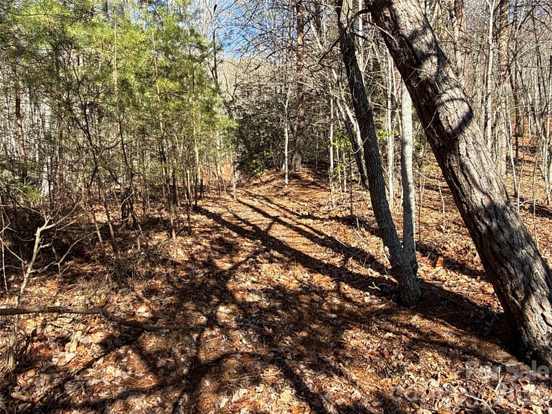 9999 Sealey Ln, Leicester, NC 28748