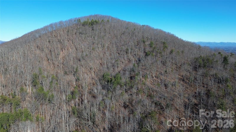 9999 Sealey Ln, Leicester, NC 28748