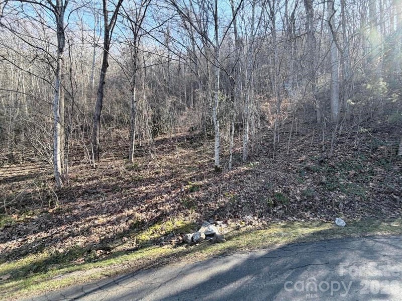 76 View Ridge Pw #7, Leicester, NC 28748
