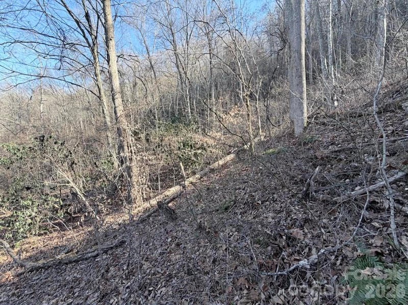 76 View Ridge Pw #7, Leicester, NC 28748