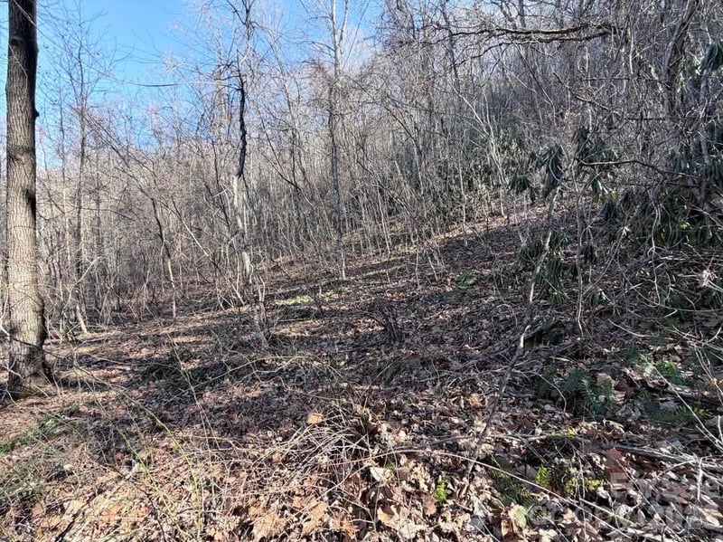 76 View Ridge Pw #7, Leicester, NC 28748