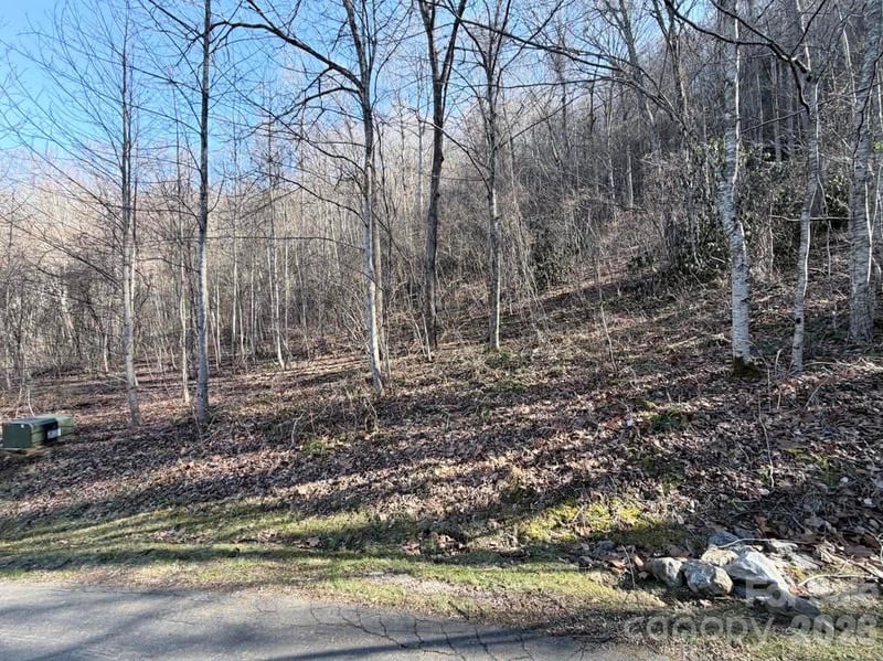 76 View Ridge Pw #7, Leicester, NC 28748