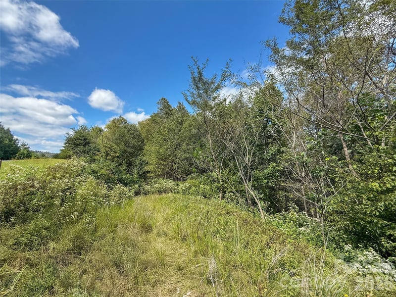 TBD Wapiti Way #5, Boone, NC 28607