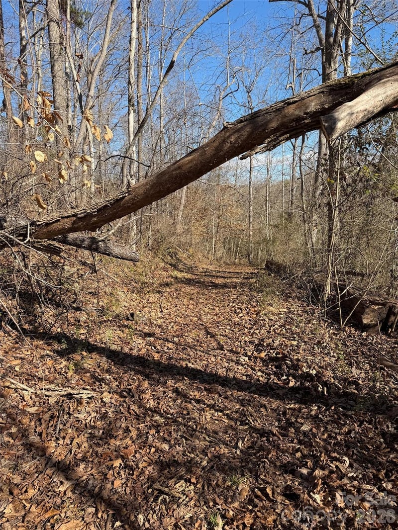 000 Rambling Creek Rd #11, Tryon, NC 28782