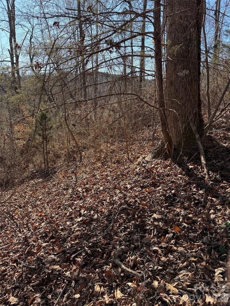 000 Rambling Creek Rd #11, Tryon, NC 28782