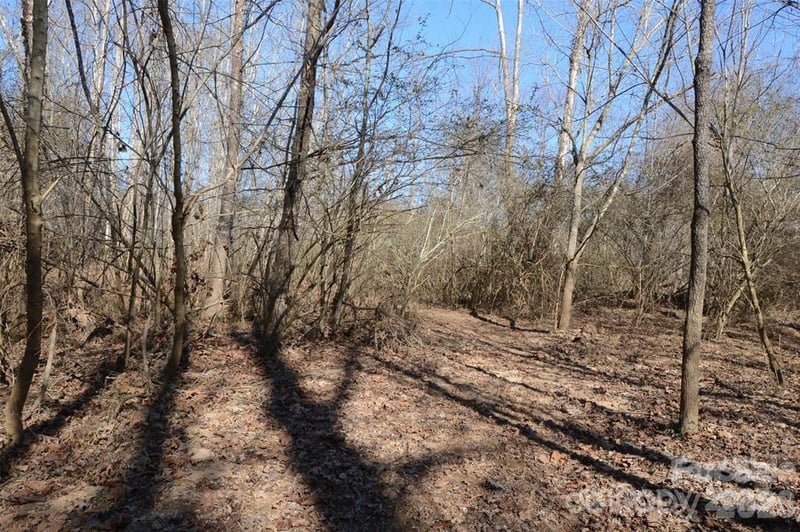 000 Rambling Creek Rd #11, Tryon, NC 28782