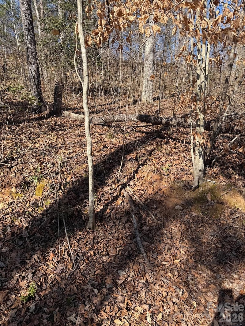 000 Rambling Creek Rd #11, Tryon, NC 28782
