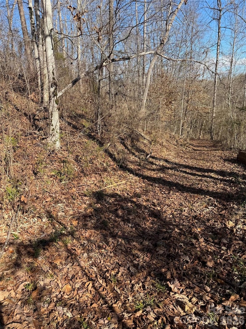 000 Rambling Creek Rd #11, Tryon, NC 28782