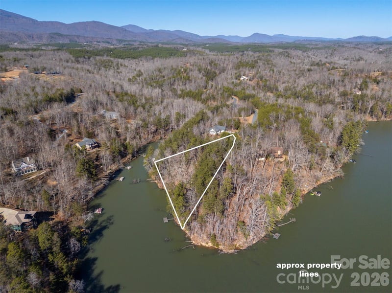 000 Indian Summer Ln #4, Mill Spring, NC 28756