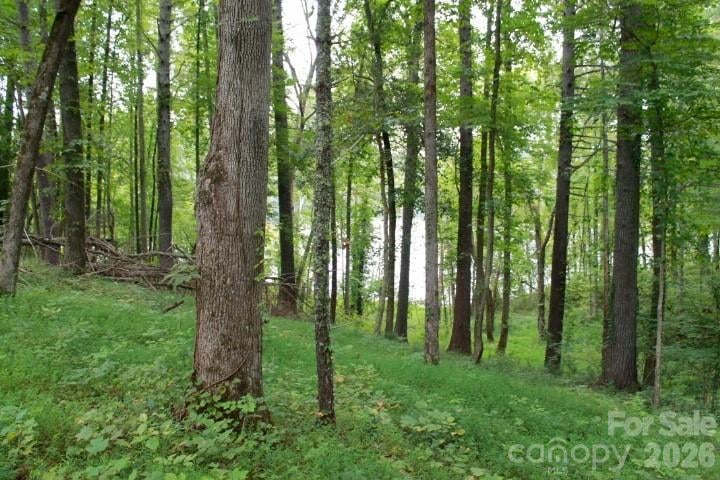 374 E Settings Blvd, Valdese, NC 28690