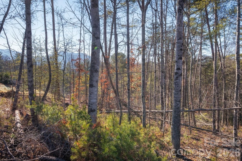 161 Riverbend Forest Dr #9, Asheville, NC 28805