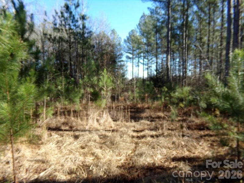 42 Ac Hwy 55 Hw, Clover, SC 29710