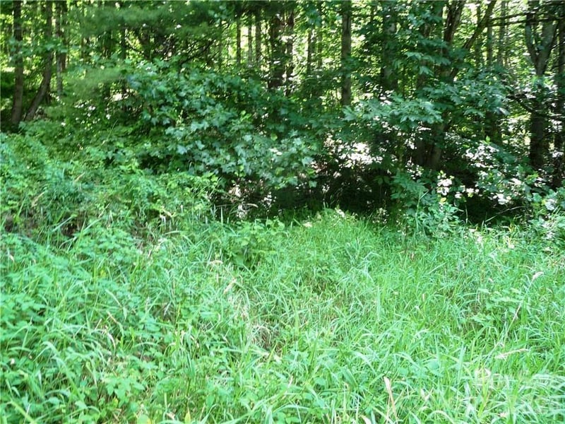 3771 Us Highway 421 Hw, Vilas, NC 28692