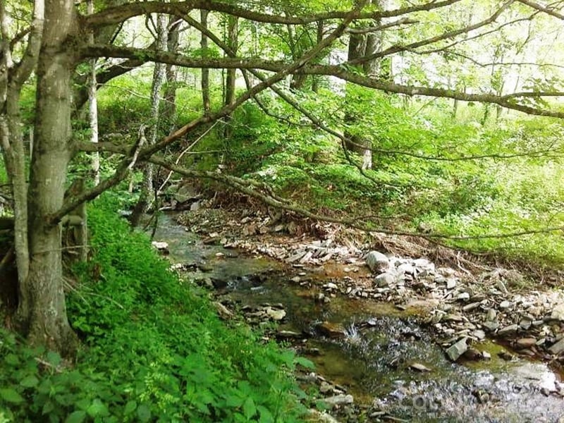 3771 Us Highway 421 Hw, Vilas, NC 28692