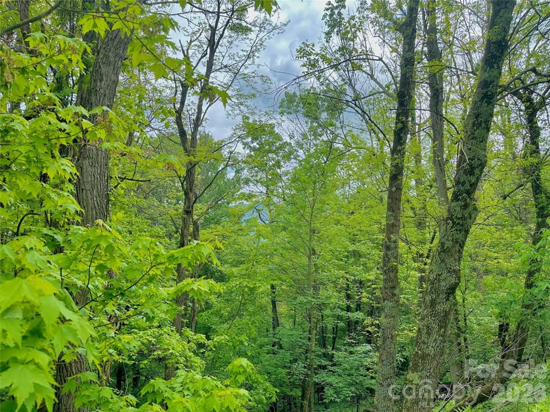 TBD Alpine Dr, Seven Devils, NC 28604