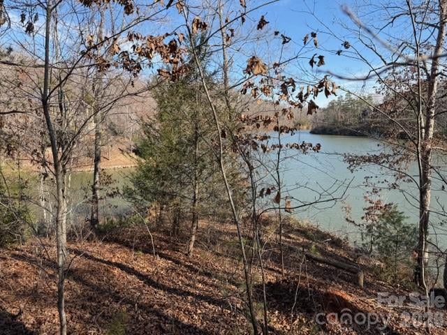 37 Peninsula Dr, Mill Spring, NC 28756