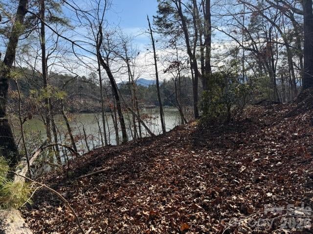 37 Peninsula Dr, Mill Spring, NC 28756