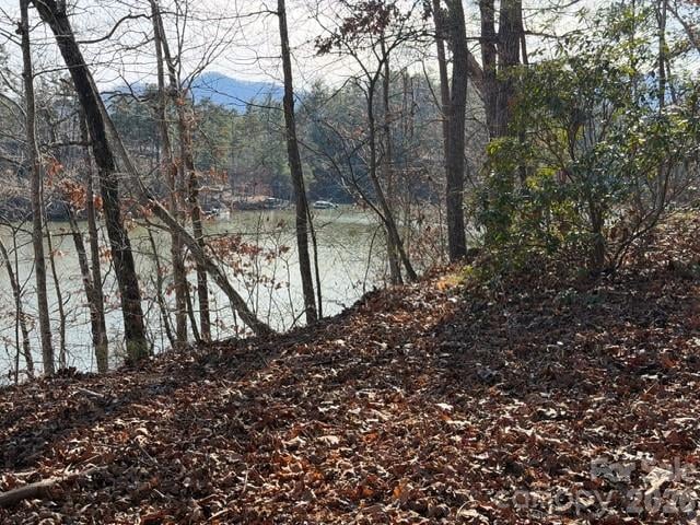 37 Peninsula Dr, Mill Spring, NC 28756