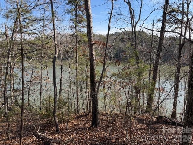 37 Peninsula Dr, Mill Spring, NC 28756