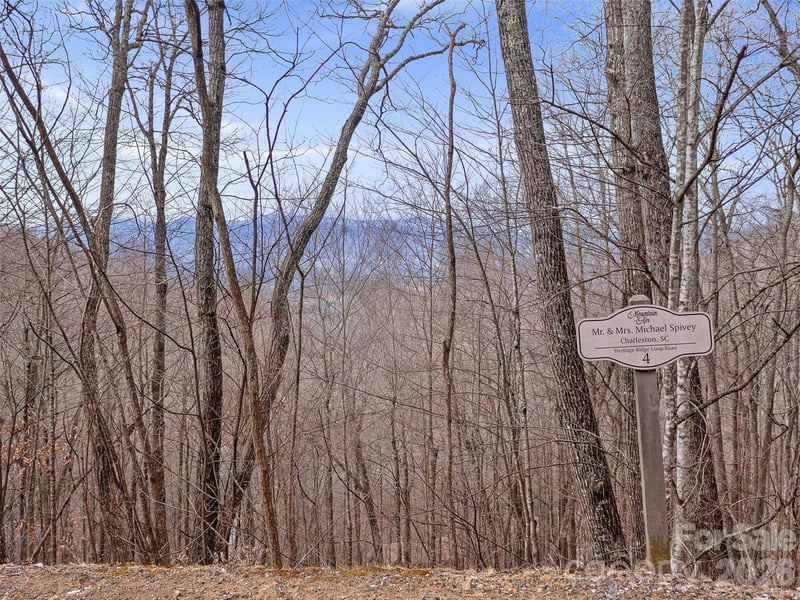 Lot 4 Heritage Ridge Loop, Burnsville, NC 28714