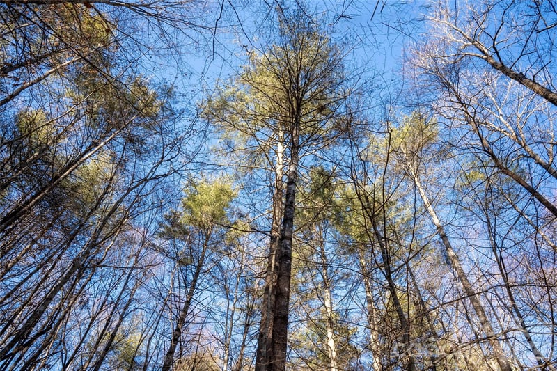 L11 Deerlake Rd #11, Brevard, NC 28712