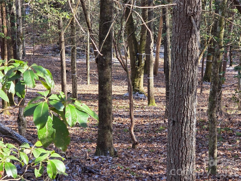 L11 Deerlake Rd #11, Brevard, NC 28712