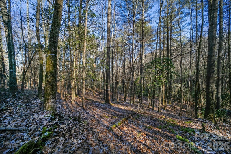 L11 Deerlake Rd #11, Brevard, NC 28712