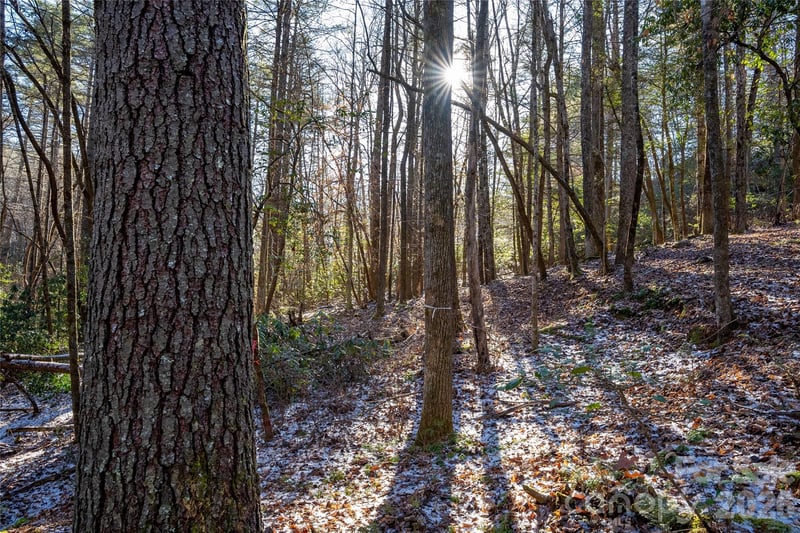 L11 Deerlake Rd #11, Brevard, NC 28712