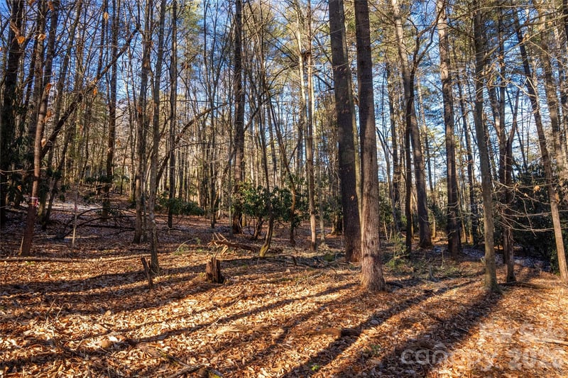 L11 Deerlake Rd #11, Brevard, NC 28712