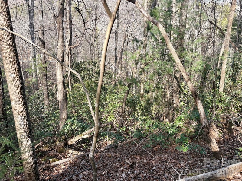Falls View Trl Lot 52, Lake Lure, NC 28746