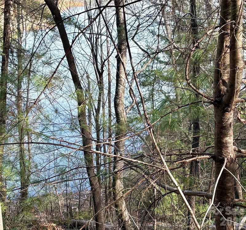 Falls View Trl lot 23A, Lake Lure, NC 28746