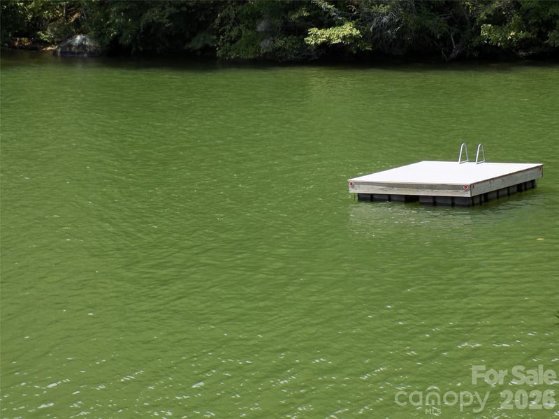 Falls View Trl lot 23A, Lake Lure, NC 28746