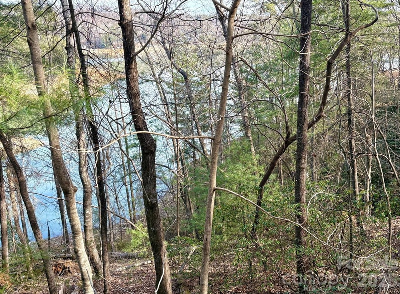 0 Falls View Trl lot 23A, Lake Lure, NC 28746