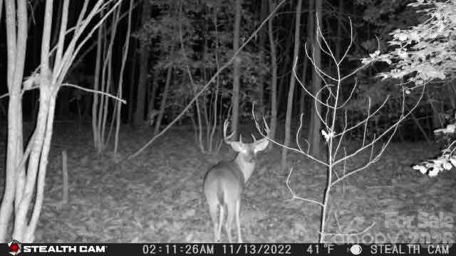 TBD Taylorsville Rd, Granite Falls, NC 28645