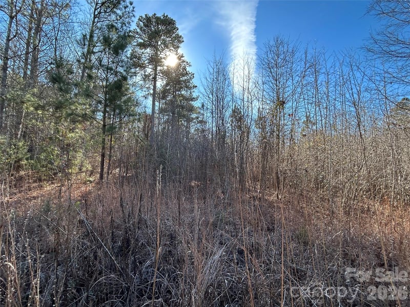 38 AC Mountain Gap Rd, Richburg, SC 29729