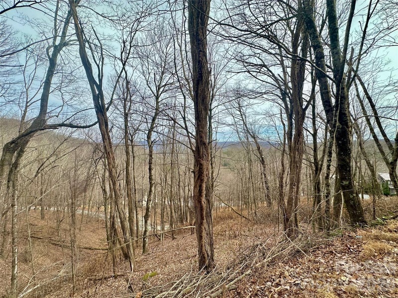 TBD Alpine Dr #21-22, Seven Devils, NC 28604